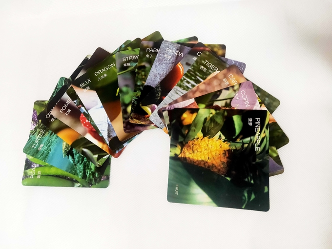 Bambini neonati cuttati Cartoline di stimolazione visiva Animali Piante Cartoline di stimolazione per 6-12 mesi 1
